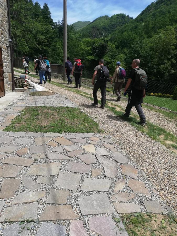 Appartamento Relax A Casa Beba Reggello Esterno foto